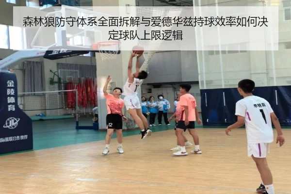 森林狼防守体系全面拆解与爱德华兹持球效率如何决定球队上限逻辑